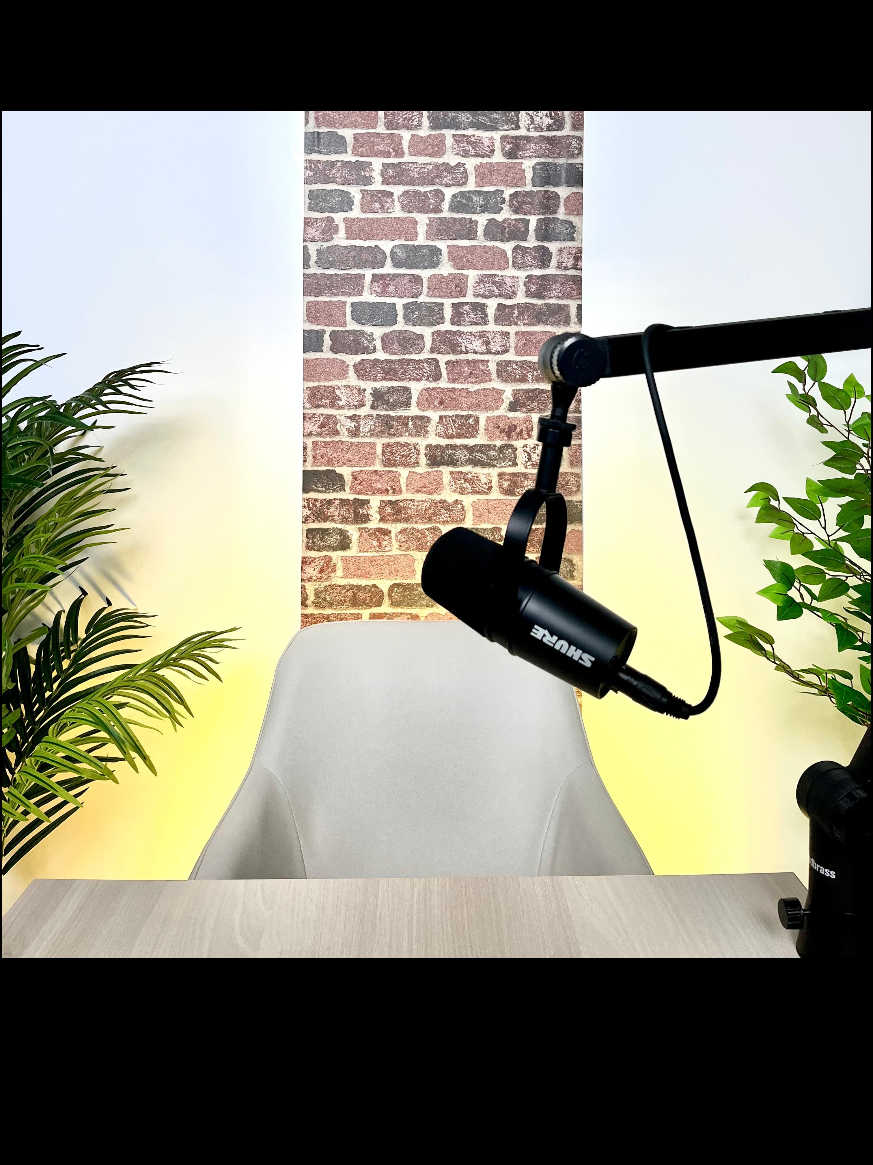 Brique Facecam